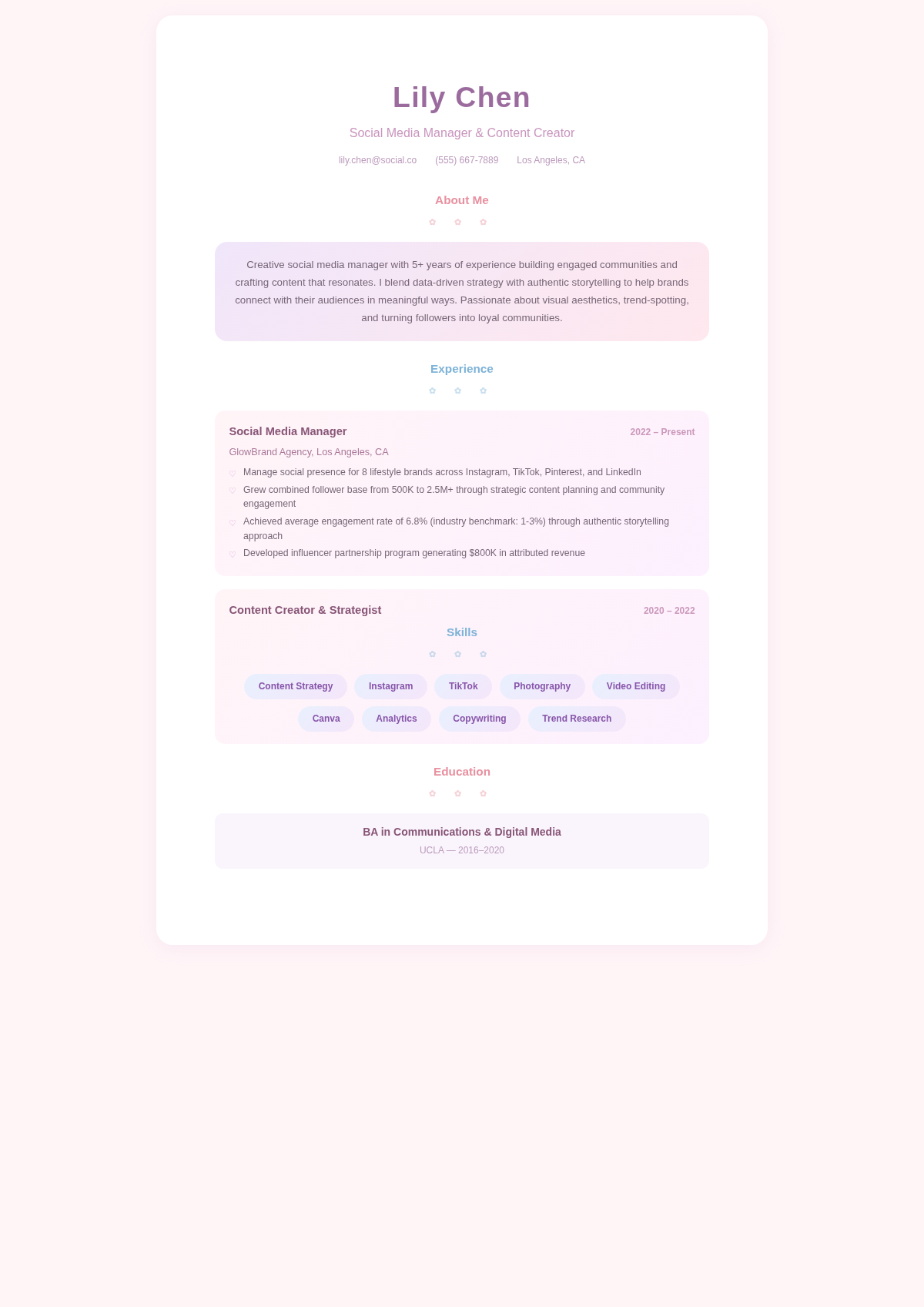 Pastel dream simple resume